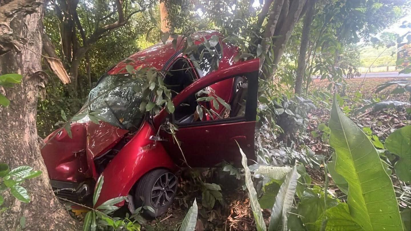 Conductor sobrevivió de milagro tras violento choque contra un árbol en ...