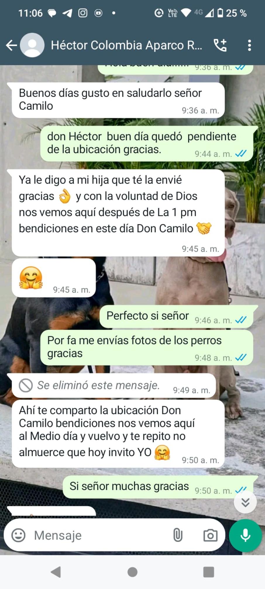 Falso servicio