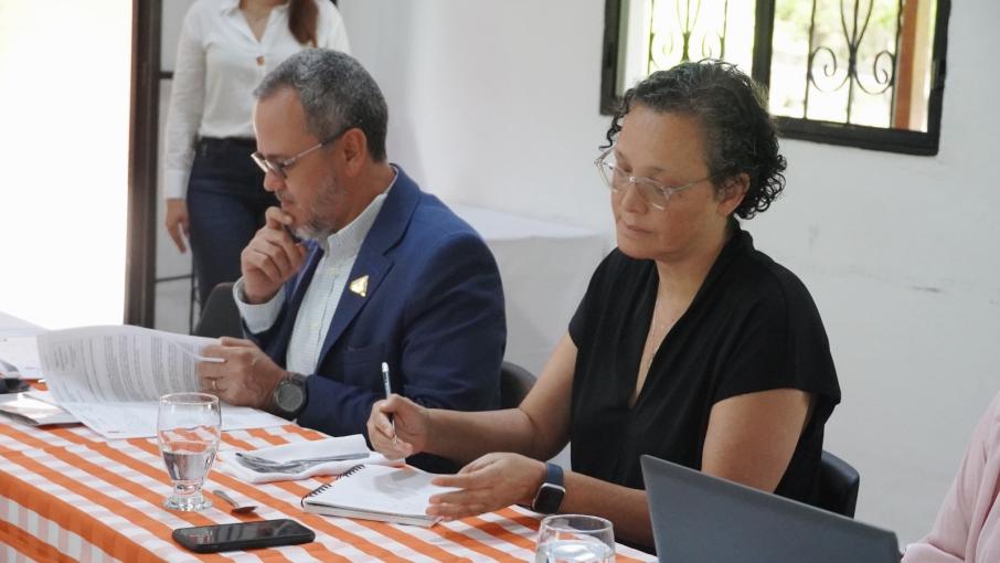 Universidad de Ibagué