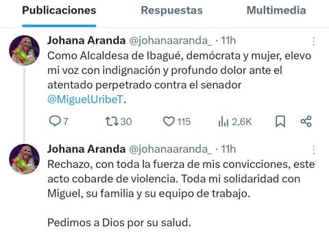 Twits Alcaldesa