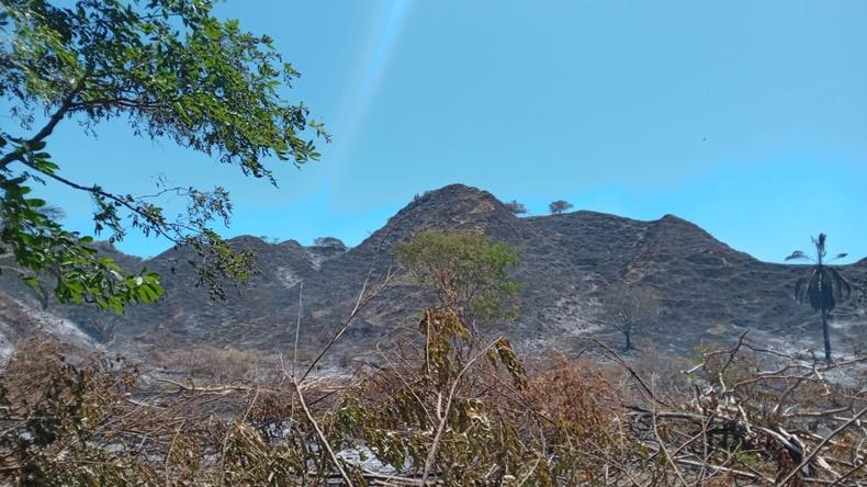 Ibagué