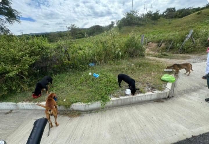 Tomada de Internet