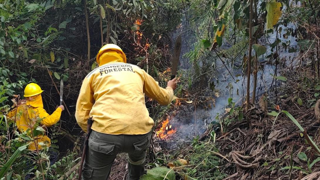 Incendio Planadas
