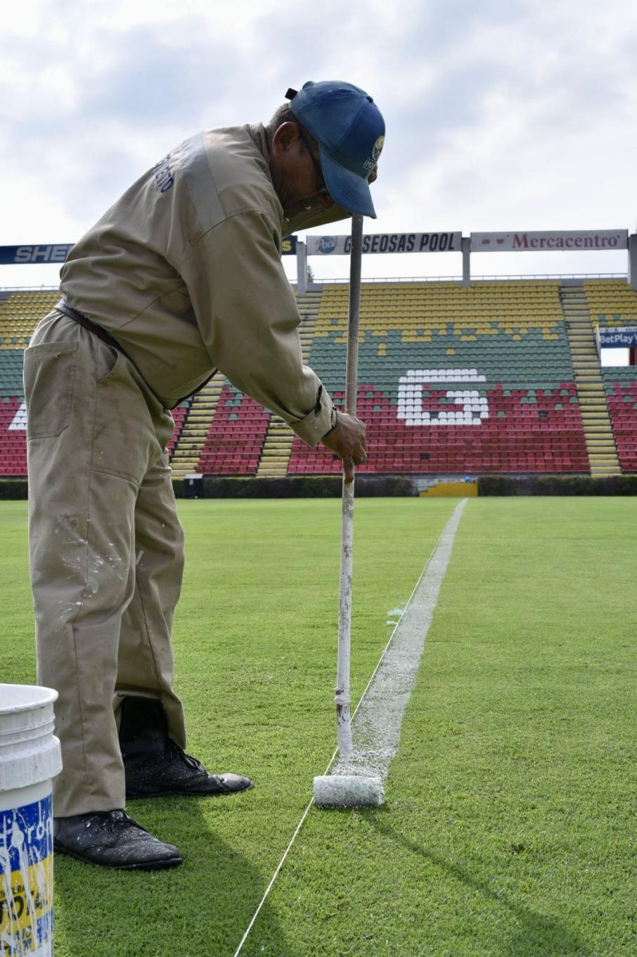 Gramado estadio