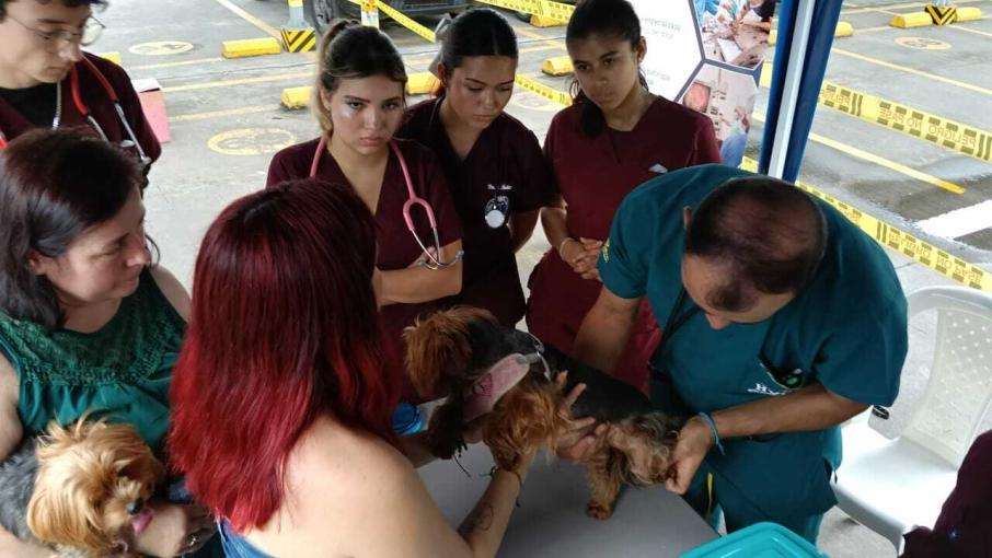 jornada de mascotas por parte de Surtiplaza y la Facultad de Medicina Veterinaria y Zootecnia de la Universidad del Tolima