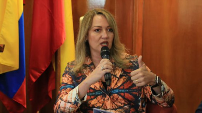 Paula Cortés Calle, presidente de Anato.