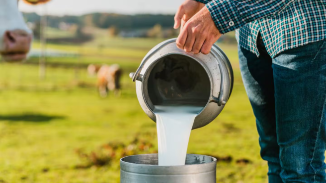 La crisis del sector lechero se ha presentado por diversas situaciones en las que, según los productores, se han derivado del fenómeno del cambio climático que afectó la producción por el intenso verano, sumado a la baja demanda y la falta de compradores por los bajos precios