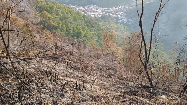 incendio-gaviota.jpg