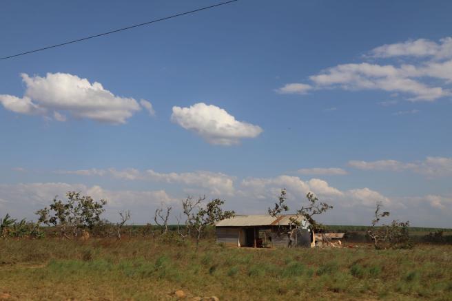 Los trám ites ante la ANT son grauitos, revela la entidad e invita  denunciar irregularidades