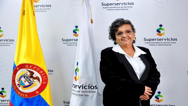 Superintendente Delegada de Energía y Gas, Sandra Téllez