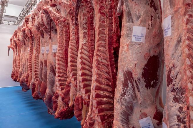 Se busca mejorar la calidad de la carne colombjana para exoportarla a EEUU y canadá