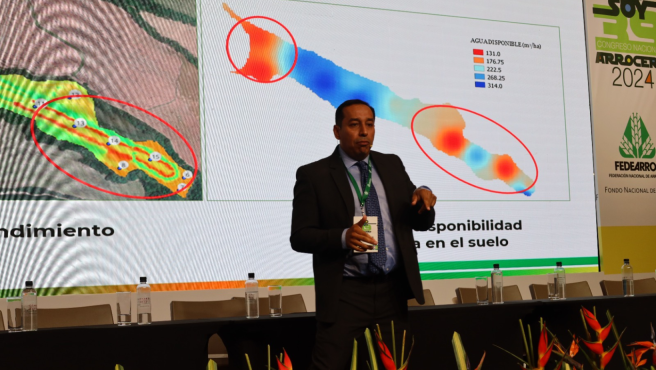 Ante los arroceros del país reunidos en Bogotá, expertos hablaron sobre el impacto del clima en los cultivos.