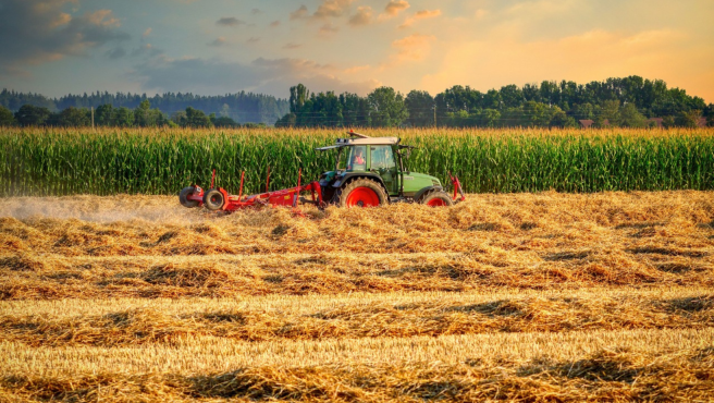 El sector agropecuario no solo es crucial por su contribución a las exportaciones, sino también por su capacidad para generar empleo, especialmente en las zonas rurales.