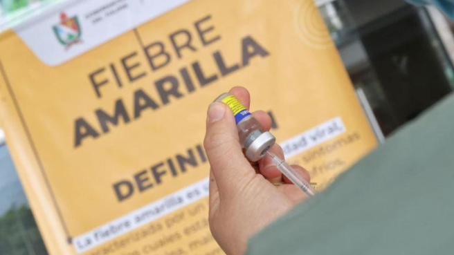 Fiebre Amarilla 