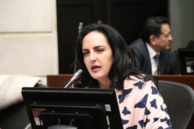 María Fernanda Cabal, Senadora