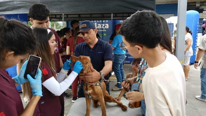 jornada de mascotas por parte de Surtiplaza y la Facultad de Medicina Veterinaria y Zootecnia de la Universidad del Tolima