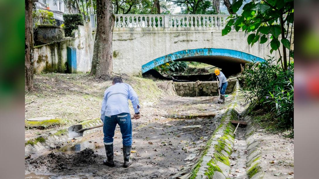 Limpieza Parque Centenario 