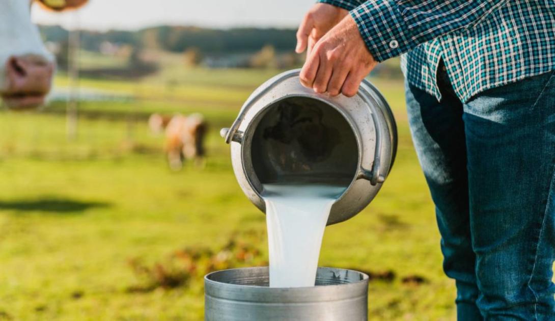 Un fondo tripartito para que el presupuesto nacional, los recursos ganaderos y la industria, se unan, para que esta última ofrezca a los sectores populares leche pasteurizada, no ultra, en empaque sin pretensiones y sin gastos de publicidad.