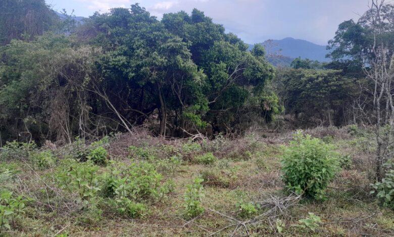 Jardín Botánico