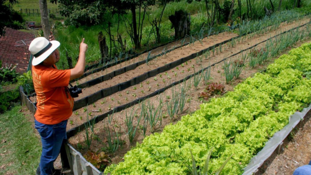 vale la pena resaltar la inclusión de Colombia en la Red Regional de Sistemas Públicos de Abastecimiento de Alimentos 