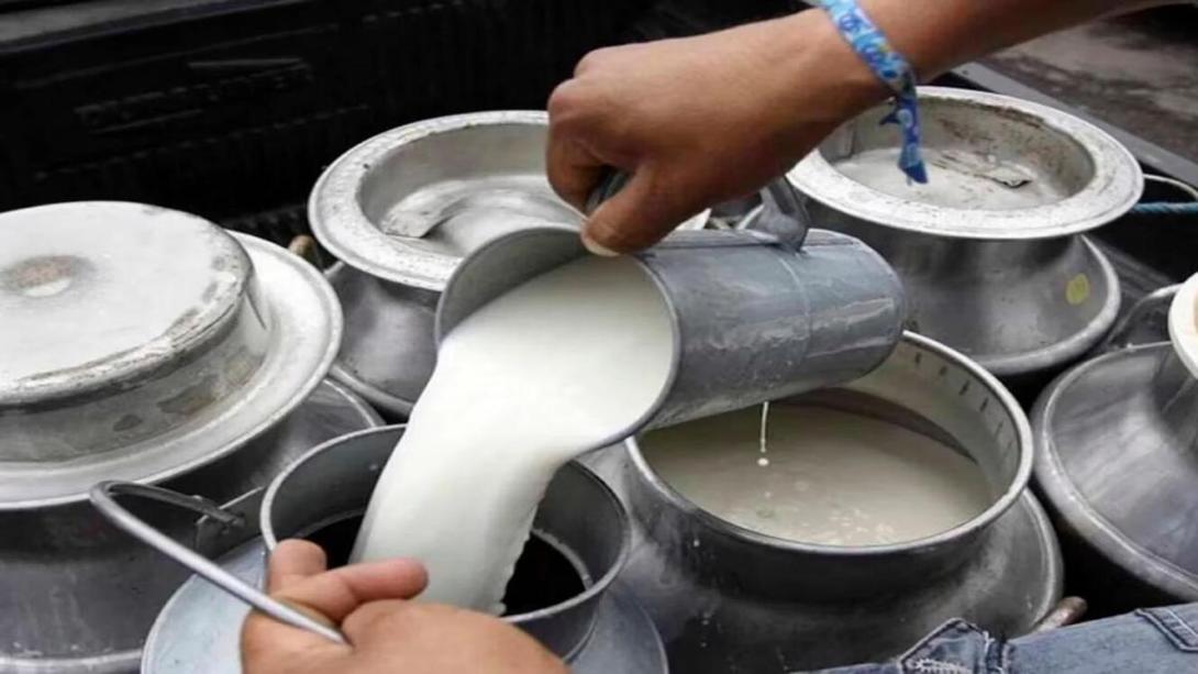 Productores de leche denuncian bajo precio de compra del lácteo por parte de los industriales.