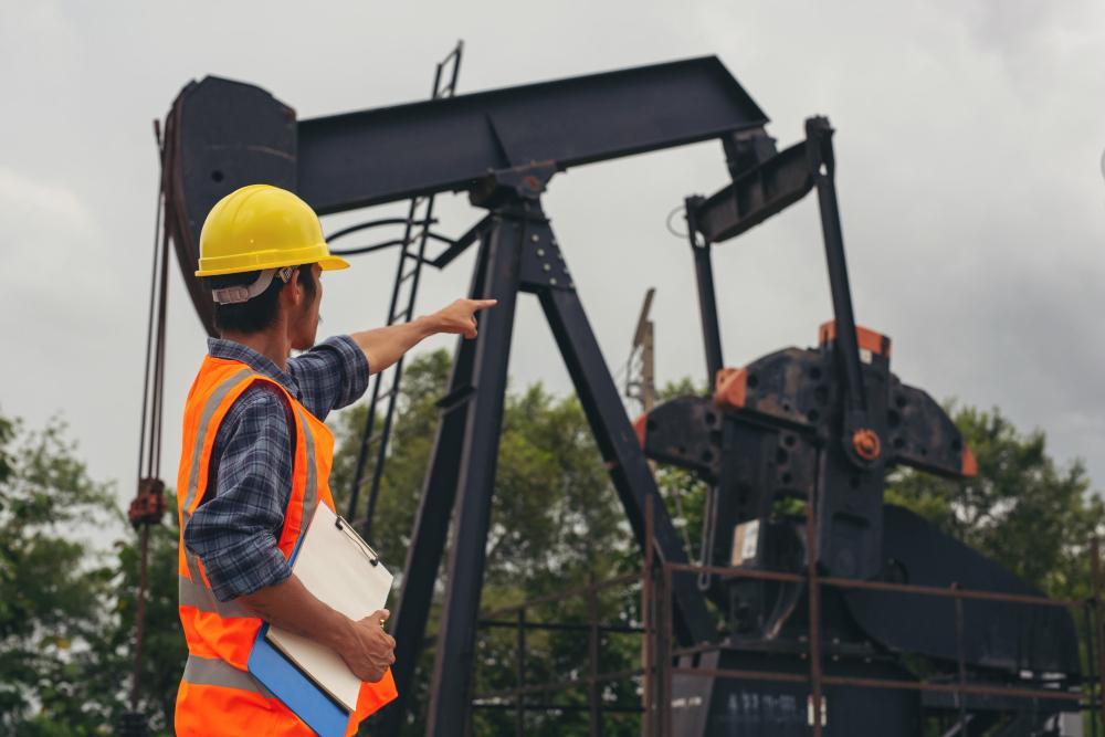 A la fecha, no existe un plan de acción ni un trabajo articulado por parte de las autoridades competentes.