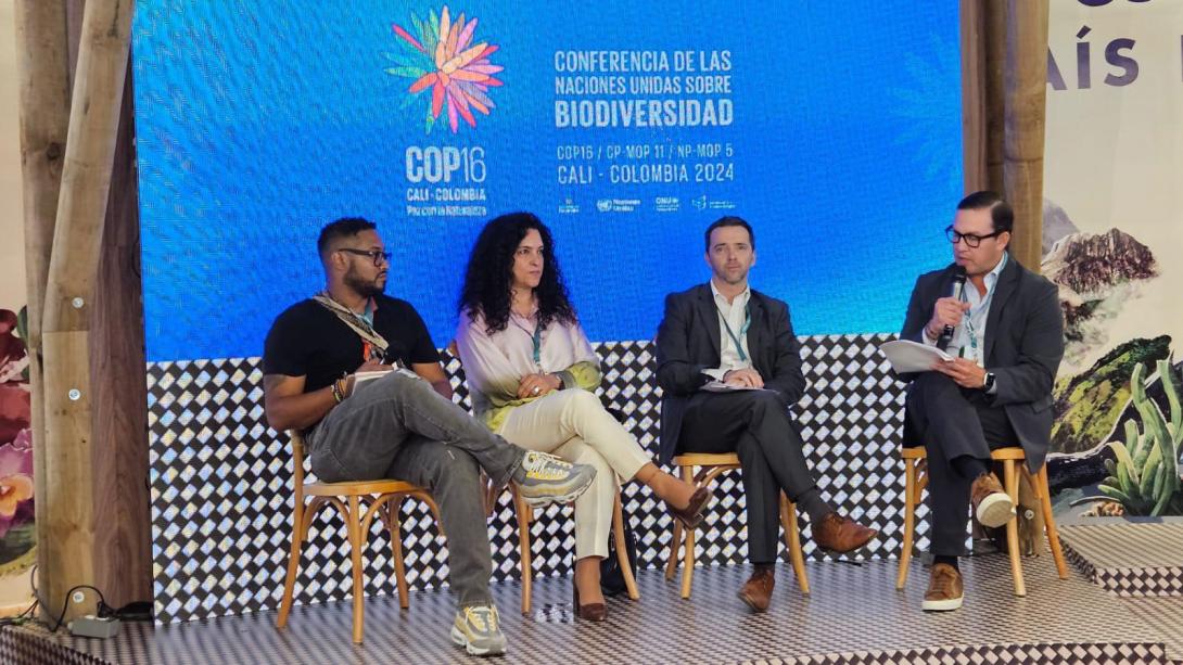 Findeter, presentó en el marco de la COP 16, las iniciativas que ha venido desarrollando para impulsar proyectos que promuevan la conservación del medio ambiente en el país.