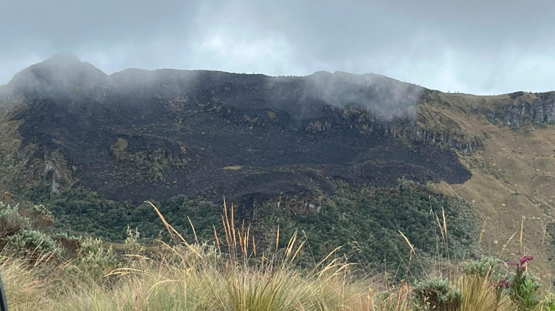 incendio-parque-los-nevados.png