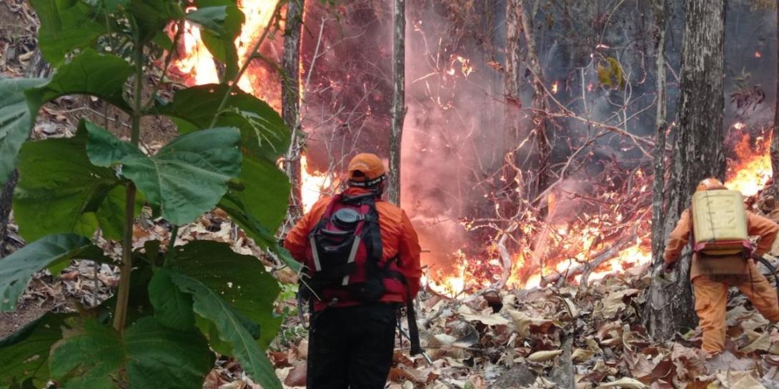 Incendio en el Tolima