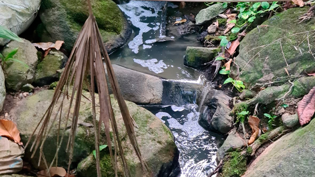 Quebrada El Vergel