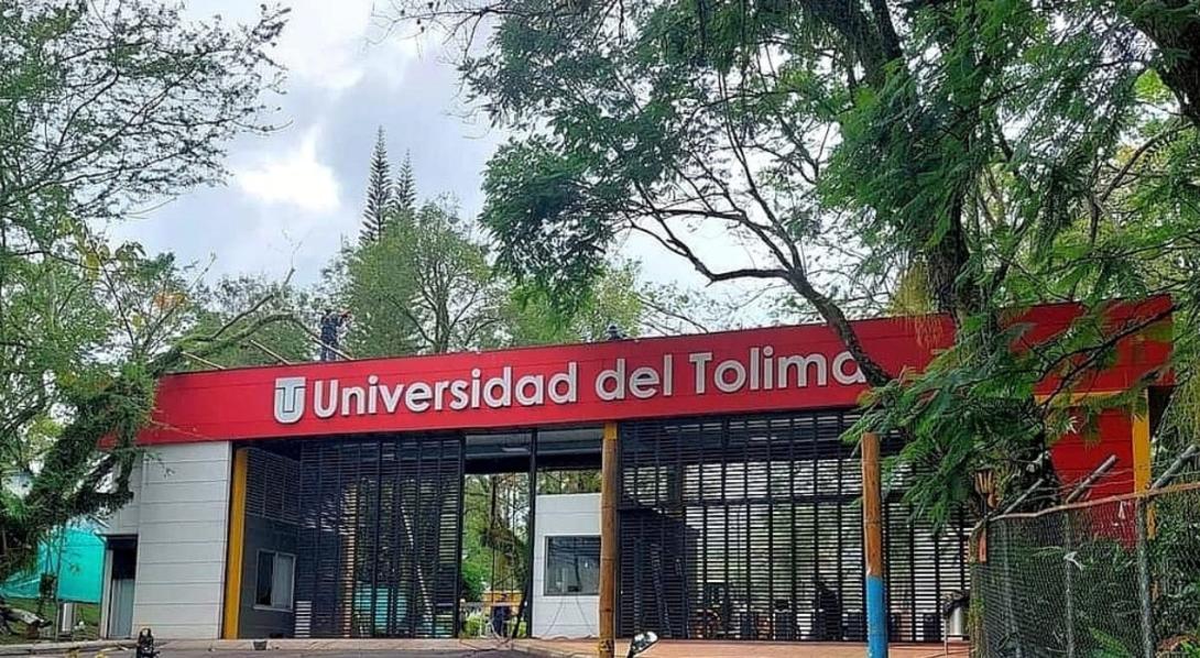 Universidad del Tolima