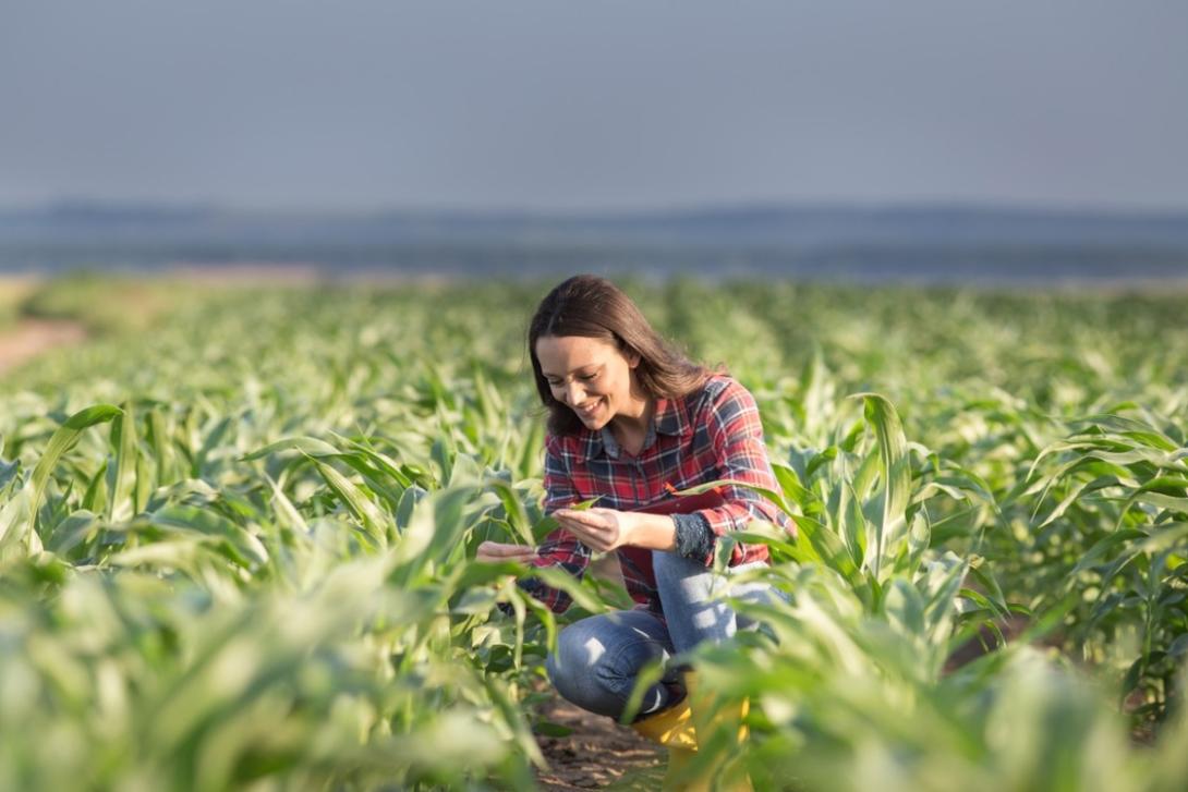 Gobierno busca incentivar emprendimiento campesino